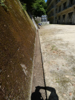 P1060252