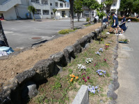 P1060250