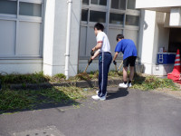 DSCF6954