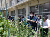 DSCF7316