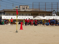 IMGP0187
