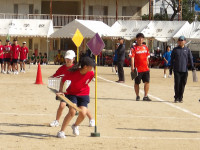 IMGP0335