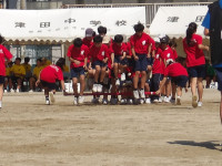 IMGP0537