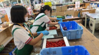 職場体験２