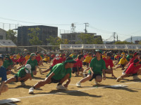 IMGP0246