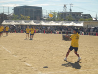 IMGP0508
