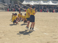 IMGP0526