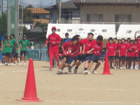 IMGP0700